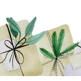 gifts under the tree